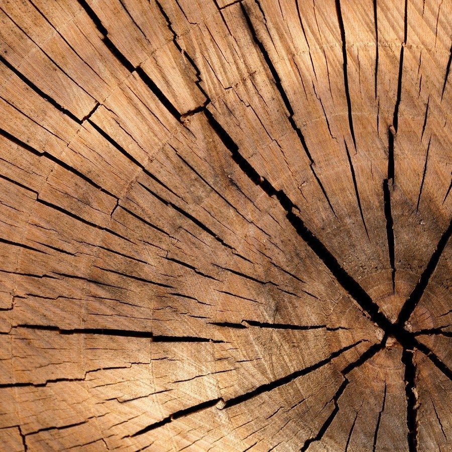 Detailaufnahme Holz